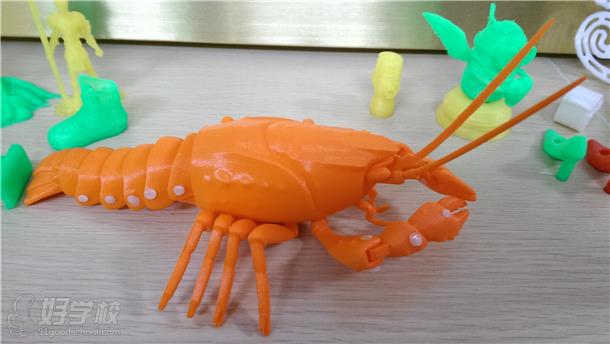 上海泉威学生3D打印设计动态虾作品展示-上海