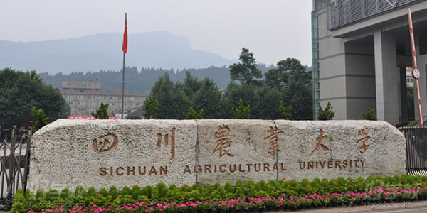 四川农业大学 校门图片